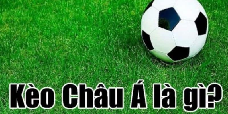 Kinh nghiệm bắt kèo châu Á từ cao thủ, thắng lớn mỗi ngày