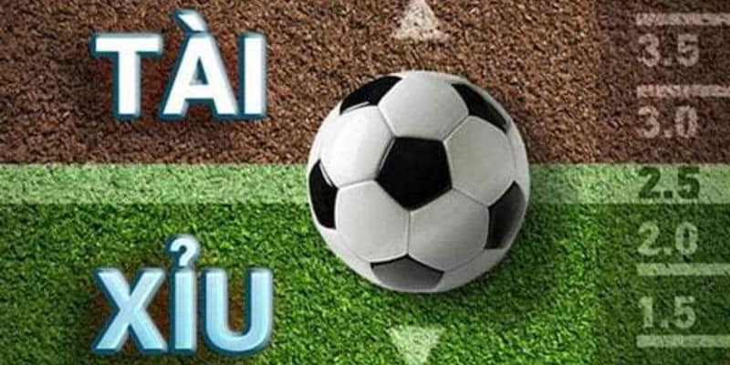 Mẹo chơi kèo tài xỉu giúp bạn tăng tỷ lệ thắng nhanh chóng